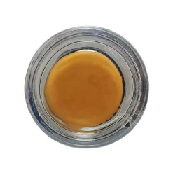 Concealers^Revolution Freedom Pro Camouflage Paste CF08