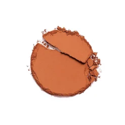 Foundations^Revolution Pro Powder Foundation F16