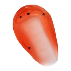 Lip Gloss & Stain^Revolution Tropical Lip Oil Papaya