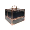 Makeup Sets^Technic Black & Rose Gold Filled Case